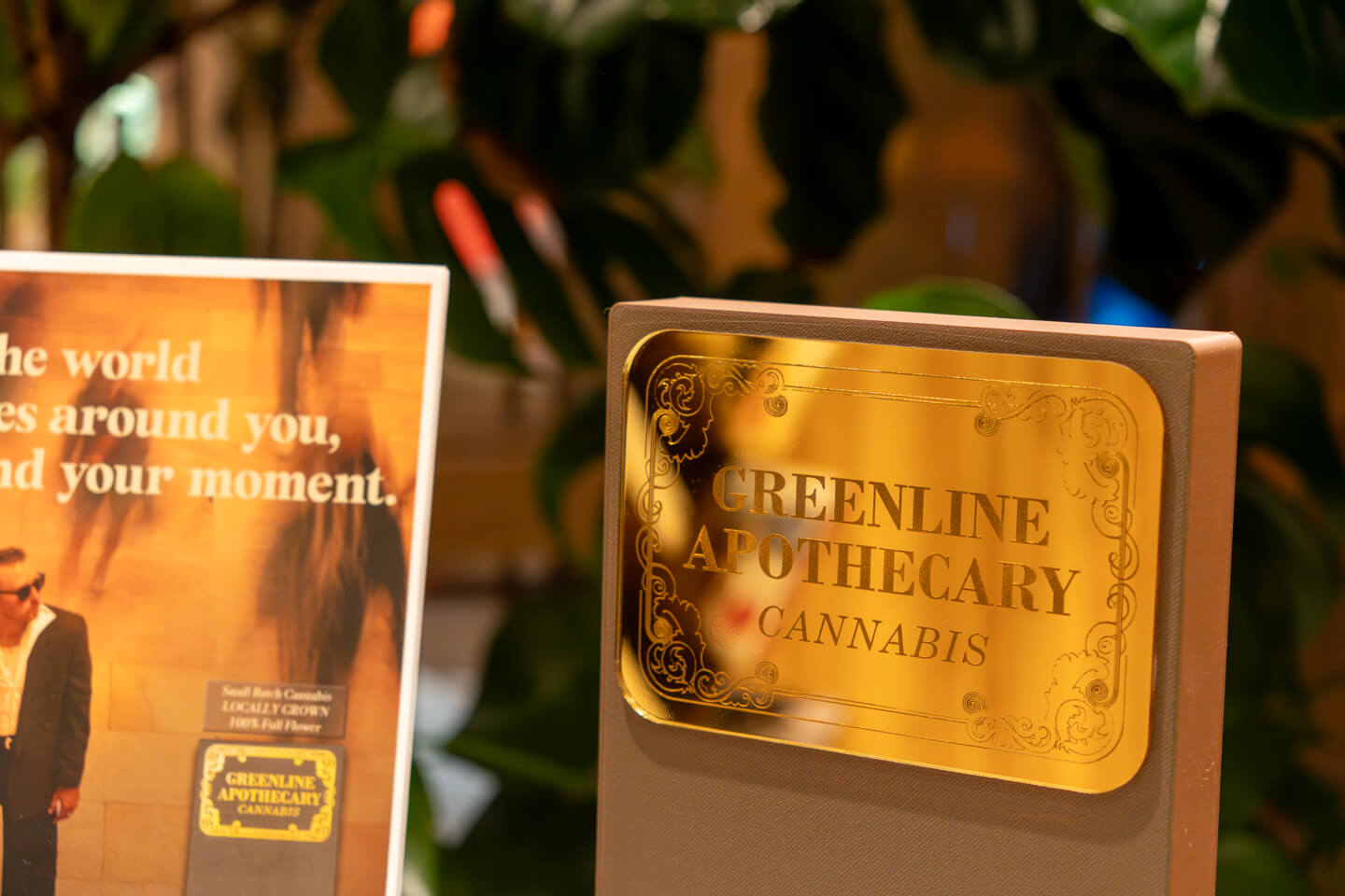 greenline_apothecary_pop_up_superfly_uws